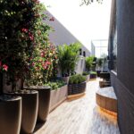 Imagem 15 do imóvel